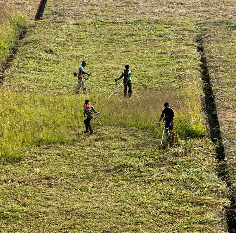 Farming